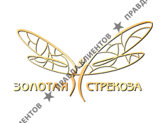 Золотая стрекоза